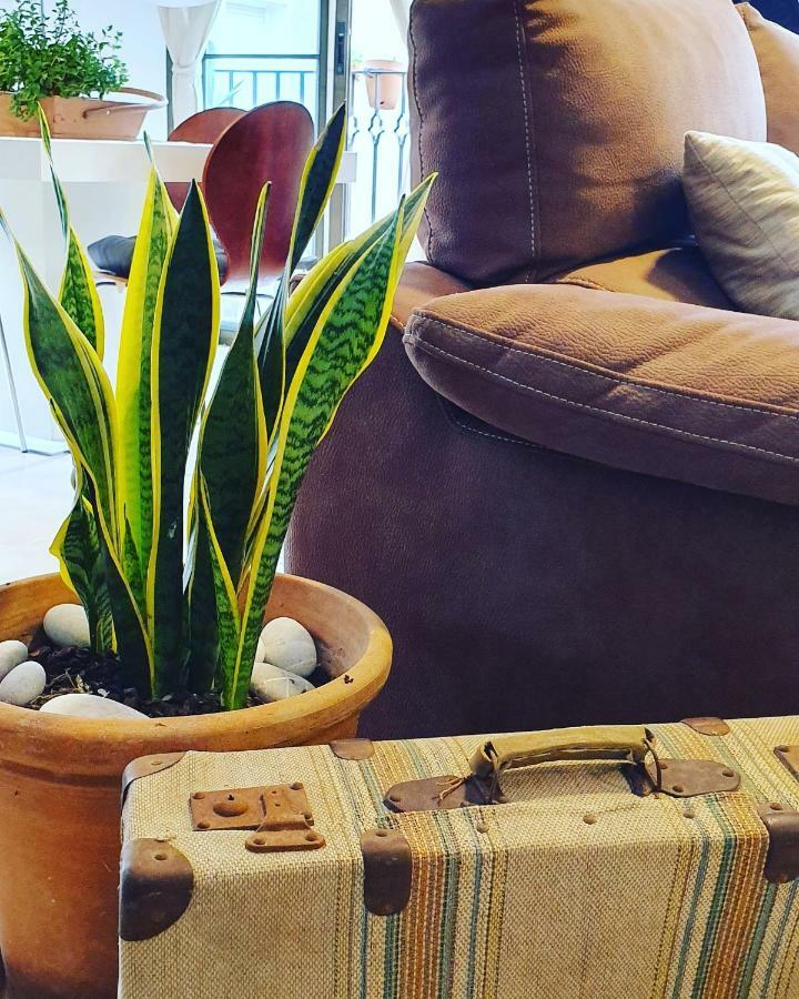 Appartement La Pineta Benidorm